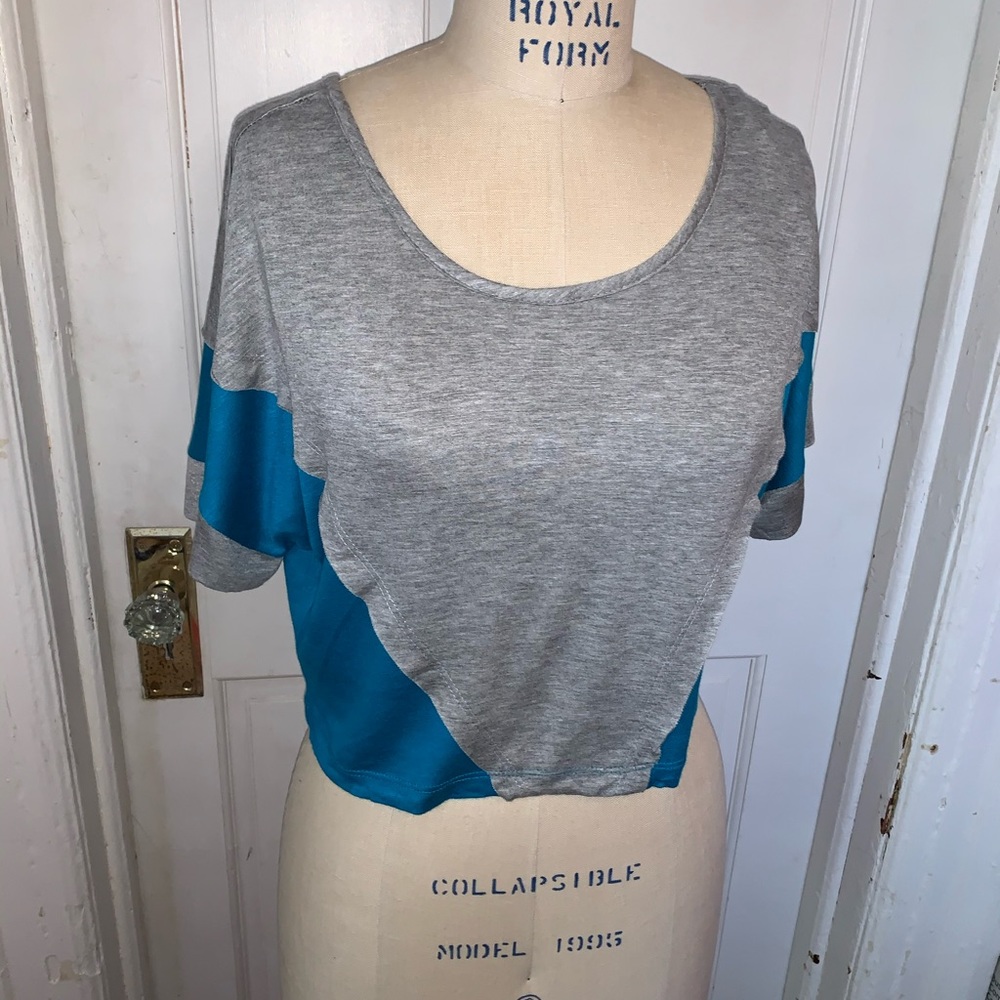 Mandee color block crop top